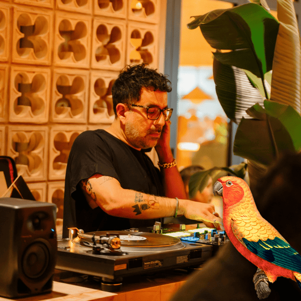 dj parrot