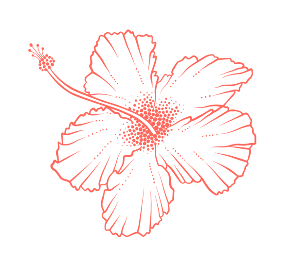 graphic