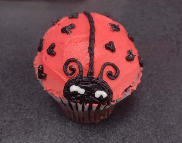Lady Bug