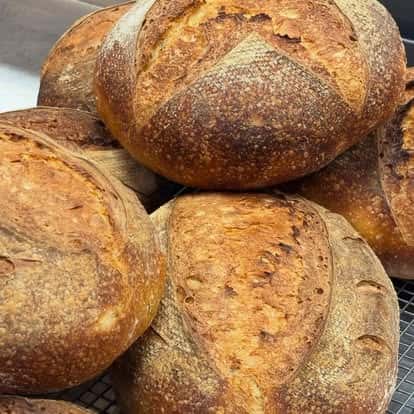 Bread