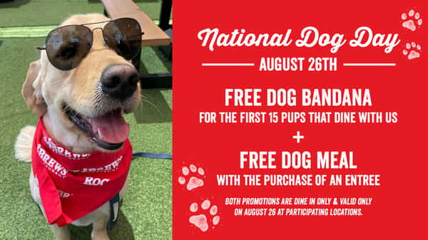 National Dog Day American Food & Live Music Restaurant Rock & Brews