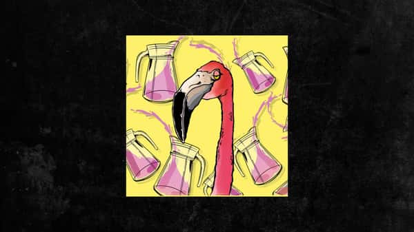 Limonada Rosada Sour Ale