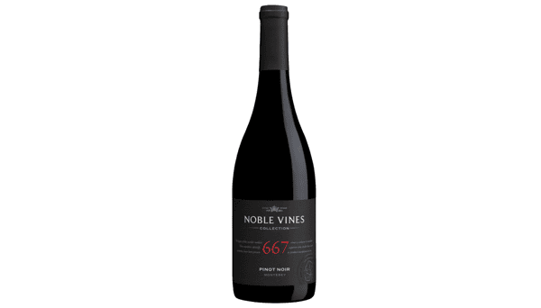 Noble Vines Pinot Noir 