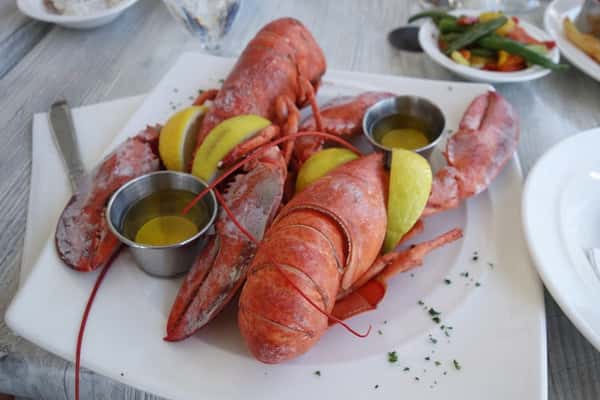 lobsters