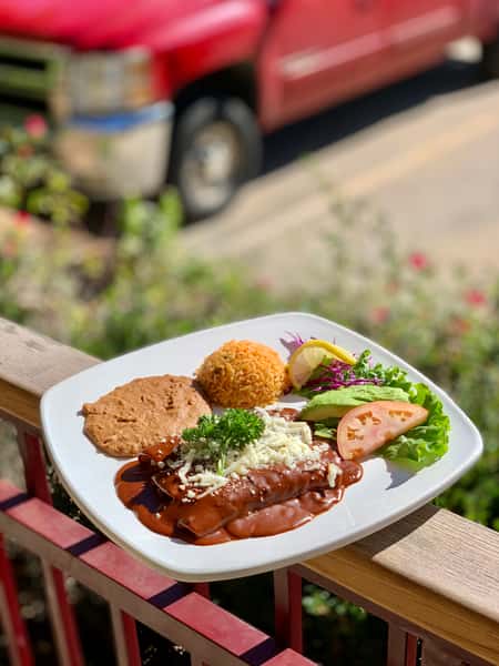 Enchiladas de Mole