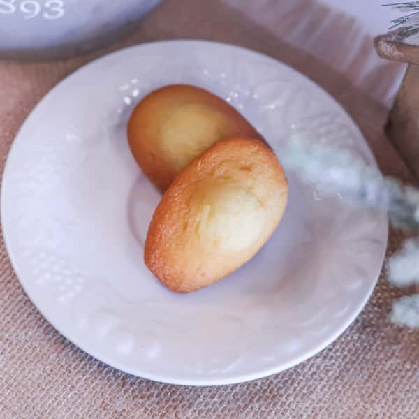 Madeleine (bag of 3)