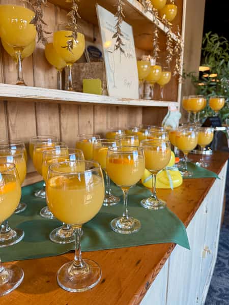 mimosa