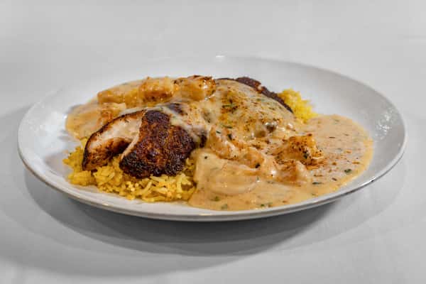 Blackened fish fillet over seasoned rice, topped with creamy shrimp sauce and garnished with herbs on a white dinner plate