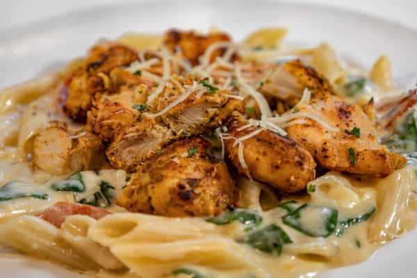 Close-up of grilled chicken Alfredo pasta with penne noodles, sautéed spinach, diced tomatoes, and shredded parmesan in a creamy garlic sauce.