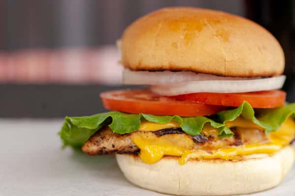 Grilled Chicken Cheese Sandwich