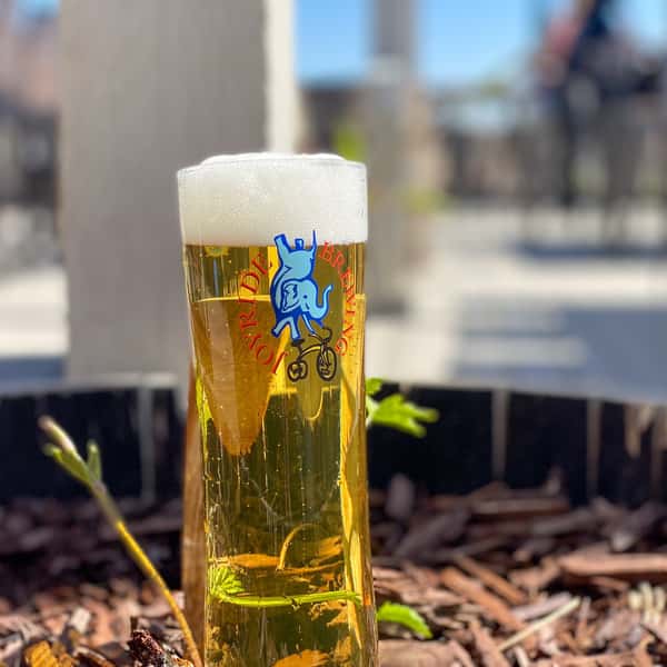 Beer