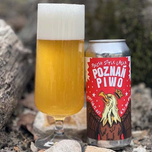Poznań Piwo
