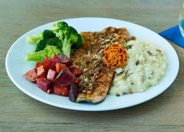 Pecan crusted trout with root veggies