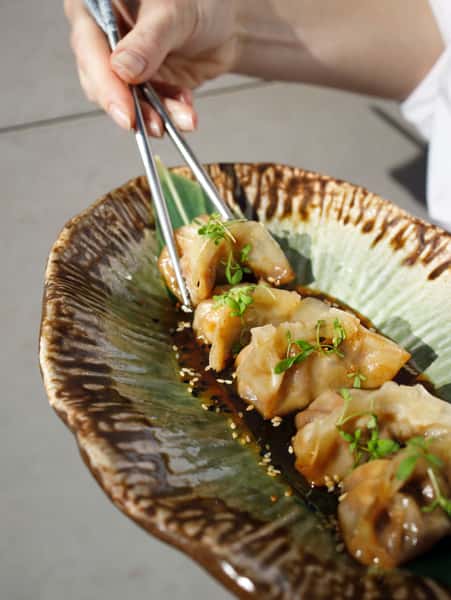 Gyoza