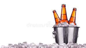 Barktender's Beer Bucket (Thursdays Only)