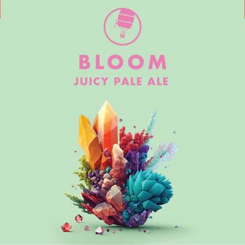Insight - Bloom