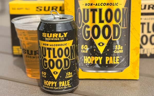 Surly - Outlook Good