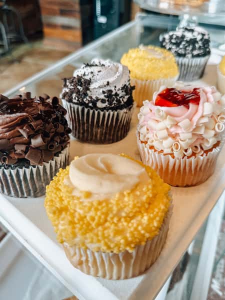 Cupcake Large