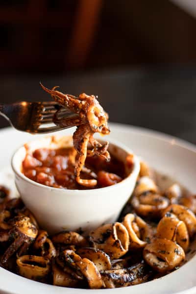 Grilled Calamari