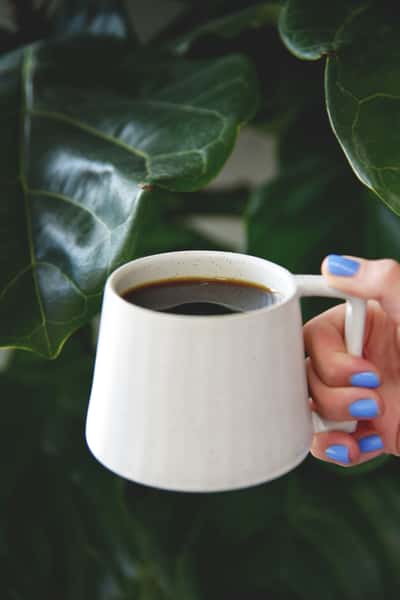 Drip Coffee
