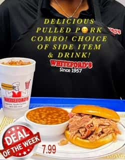 Pulled Pork Special