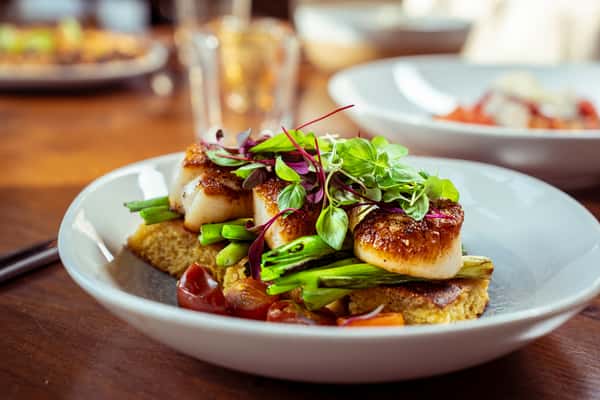 Scallops