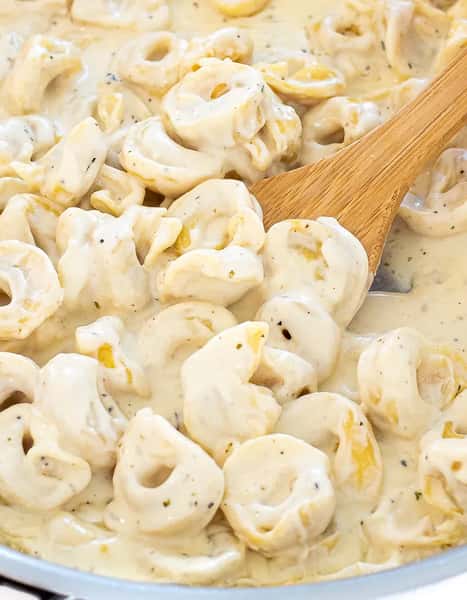 Cheese Tortellini