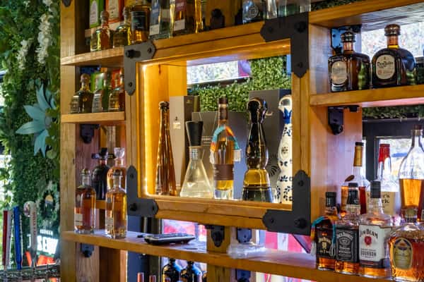 Backlit wooden bar shelf displaying premium tequila and whiskey bottles surrounded by greenery décor.