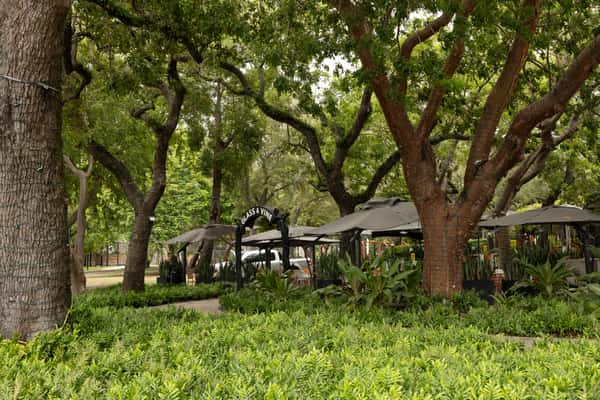 Glass & Vine garden patio entrance surrounded by trees, greenery, and outdoor umbrellas