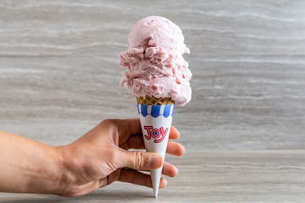 Pink_Cone_20210927-1
