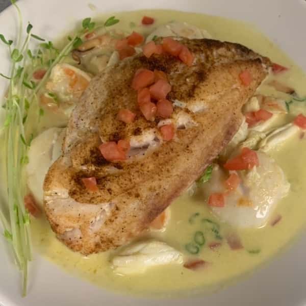 Caribbean Red Snapper