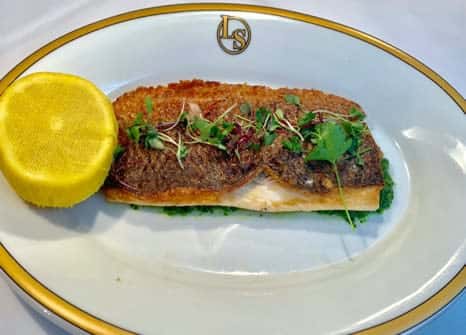 Ocean Striped Bass