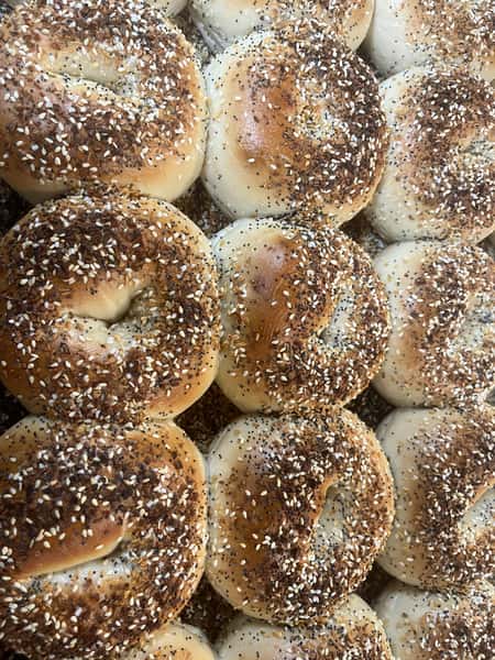 Bagels Bakers Dozen - ALL ONE KIND (13)