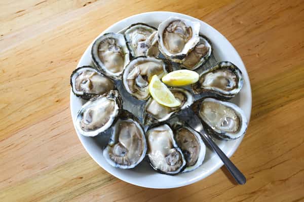 Oyster on ice
