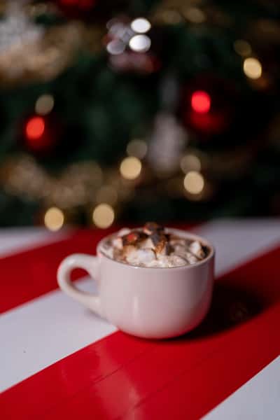 MEXICAN HOT CHOCOLATE