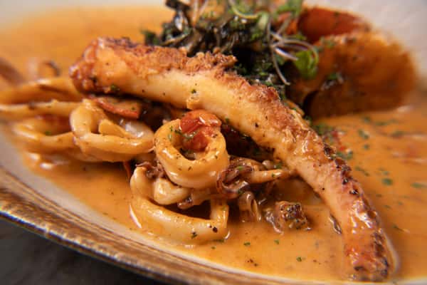Octopus