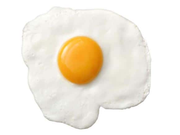 One Egg