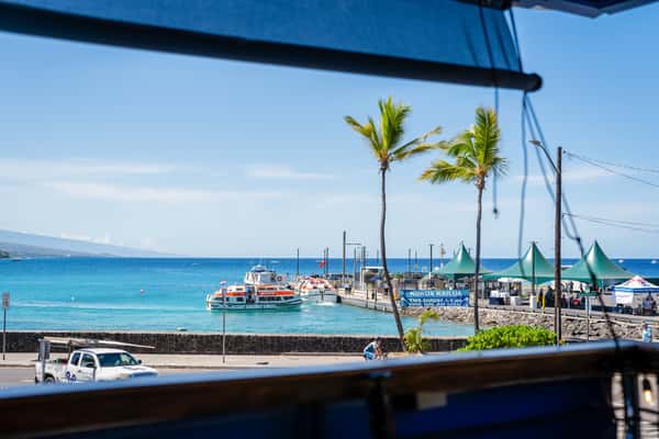 waterfront restaurant view overlooking a marina with boats and palm trees on a sunny coastal day