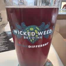 Wicked Weed Blue Razz Session Sour