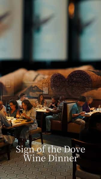 ✨🍷 What a night! SoNapa hosted the incredible Sign of the Dove Wine Dinner featuring stunning wines from winemaker Jesse Katz. Cheers to great company and exceptional wine! 🥂
#SoNapa #WineDinner #JesseKatz #WineLovers #GourmetExperience #Cheers