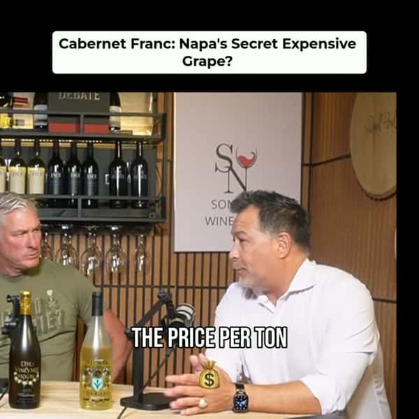 Cabernet Franc often rivals Cabernet Sauvignon in price per ton in Napa Valley. Why? Less of it is planted, making great quality harder to find, but oh so worth it. #NapaValleyWine #CabernetFranc #WineGrapes #WineEducation #VineyardLife #WineLovers #Gourmet #FineWine