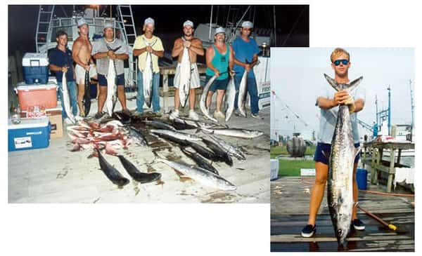 Deep Sea Fishing Catch Biloxi Ms. 1950's Large catch Vintage Postcard  AA-002