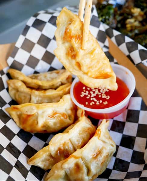 Amazing Chicken Dumplings - Potstickers - Gyozas