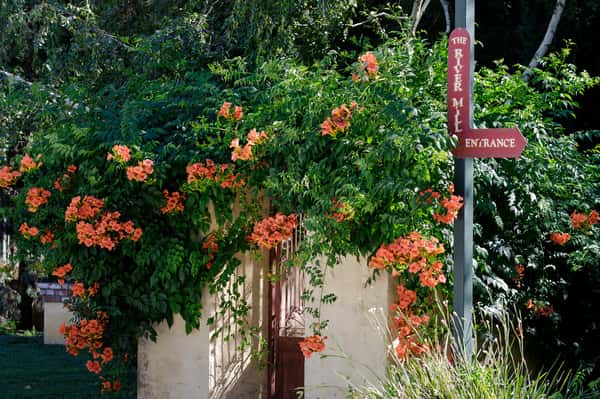 entrance