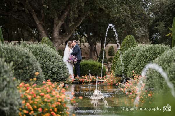 Frog Fountain
