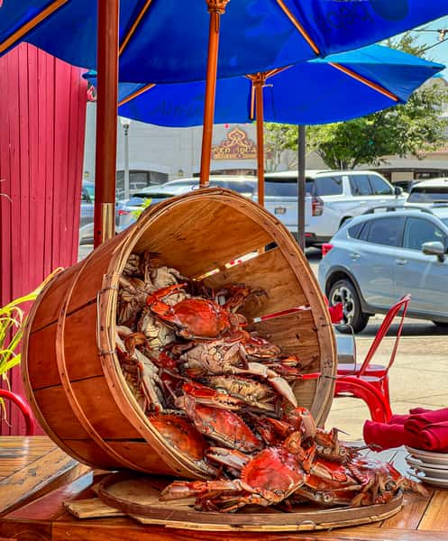 crab