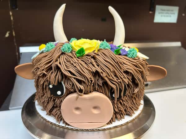 Cake