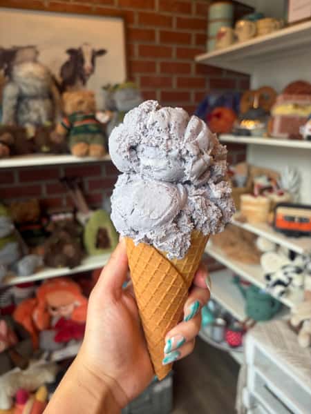 Blueberry Bliss