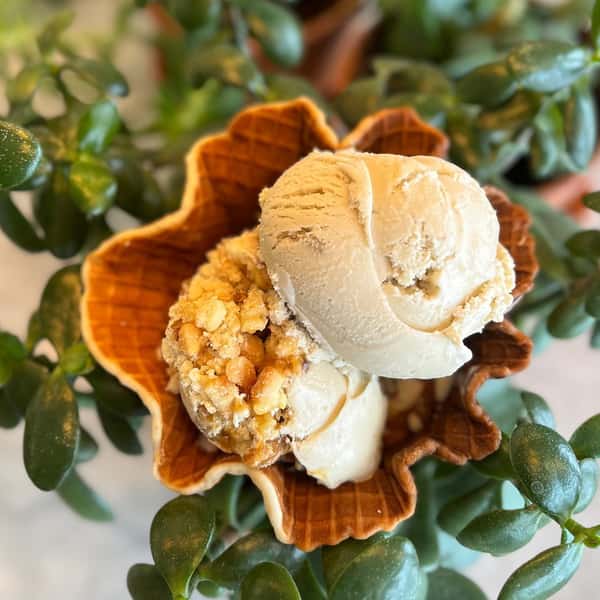 Waffle Cone/Bowl
