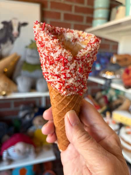 Sprinkle Waffle Cone
